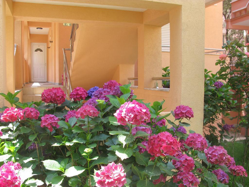 Garni Hotel Koral Budva Ngoại thất bức ảnh