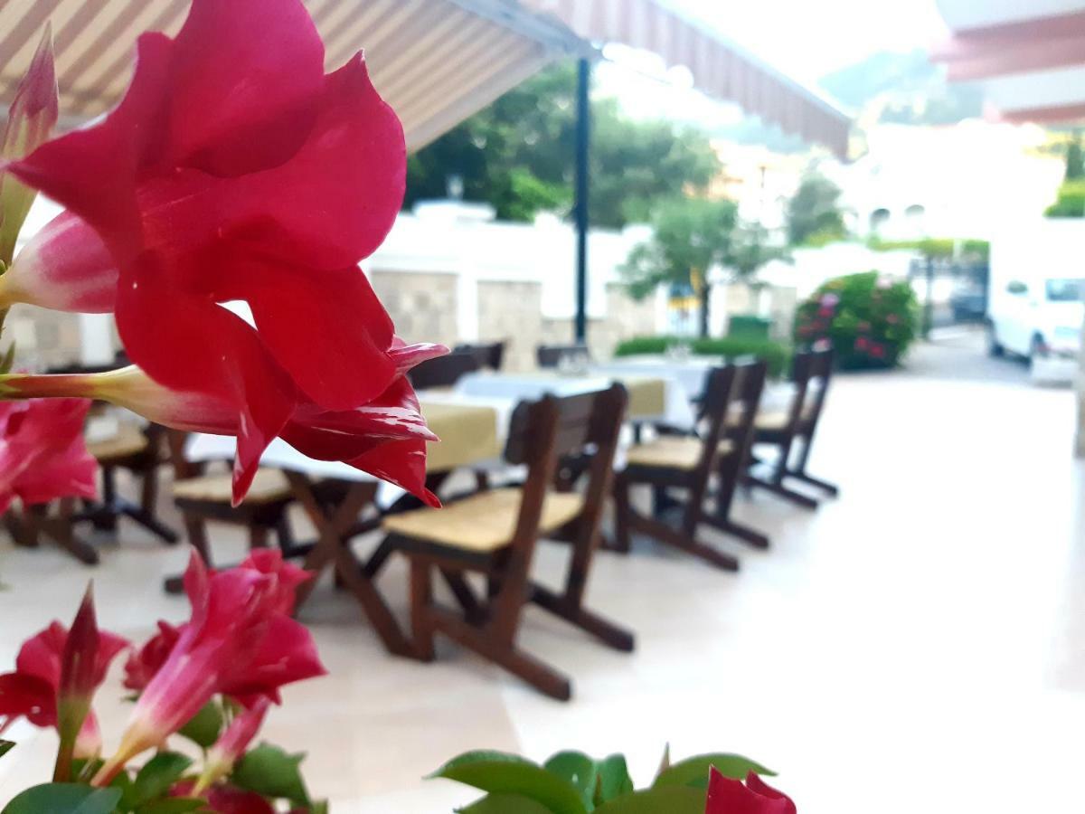 Garni Hotel Koral Budva Ngoại thất bức ảnh