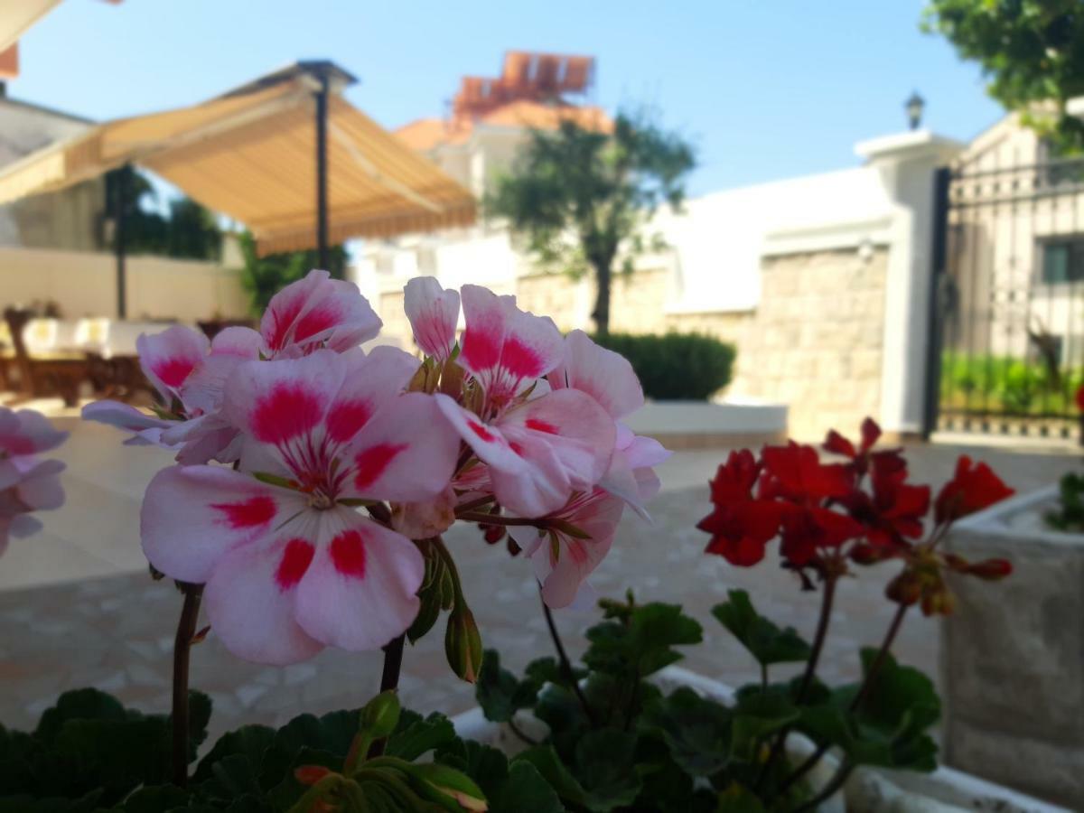 Garni Hotel Koral Budva Ngoại thất bức ảnh